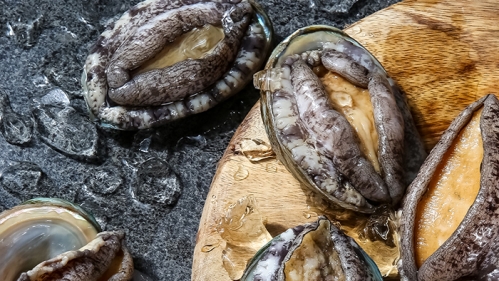 바다손애 활전복 제품 상세페이지